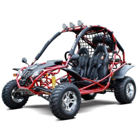 Go-Kart Deluxe 200cc Adult Gas DF GKA