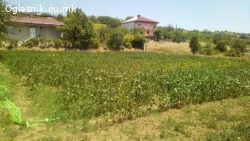 Placevi za prodazba - Selo Radisani